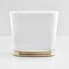 image:imageiDesign Slim Bathroom Trash Can FrostMatte Black  Small Plastic For Bedroom Office Desk or DormFrostSoft Brass