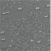 image:imageiDesign Solid Polyester Shower Curtain Sand Brown  12 Reinforced ButtonholesCharcoal