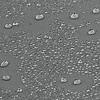 image:imageiDesign Solid Polyester Shower Curtain Sand Brown  12 Reinforced ButtonholesCharcoal
