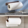 image:imageiDesign York Lyra Steel Wall Mount Paper Towel Holder Chrome  153 x 52 x 2 VersatileBronze