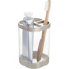 image:imageiDesign Plastic Toothbrush Holder with Three Divided Compartments The Ilyse Collection  425 x 64 x 345 Clear amp Brushed NickelPack of 1