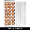 image:imageiDesign Clear Plastic Egg Holder for Fridge with Lid 21 Egg  Storage Container Organizer BinClear
