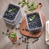 image:imageiDesign Small Fridge Berry Bin with Removable Colander Basket and Lid  Set of 4  ClearWhiteClearGray