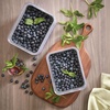 image:imageiDesign Small Fridge Berry Bin with Removable Colander Basket and Lid  Set of 4  ClearWhiteClearGray