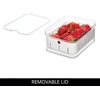 image:imageiDesign Small Fridge Berry Bin with Removable Colander Basket and Lid  Set of 4  ClearWhiteClearWhite