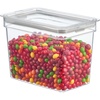 image:imageiDesign Medium Tall Dry Goods Storage Bin Clear 5L x 81W x 6H  The Fresh CollectionPack of 1