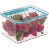 image:imageiDesign Plastic BPAFree Pantry Food Storage Organizer Bin with AirTight Hinged Lid 15 Quart Container for Kitchen Fridge Freezer Cabinet 55 x 66 x 37  ClearPack of 1