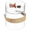 image:imageiDesign Plastic Headband and Accessory Holder Set of 2 Clear  For Bathroom Countertop or VanityPack of 1