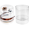 image:imageiDesign Plastic Headband and Accessory Holder Set of 2 Clear  For Bathroom Countertop or VanityPack of 2